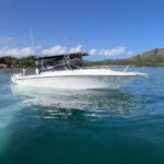 WhatsApp Image 2025-12-28 at 2.09.06 PM