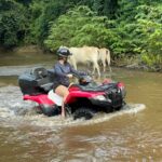 WhatsApp Image 2025-12-28 at 2.16.24 PM (1)