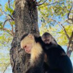 WhatsApp Image 2025-12-28 at 2.18.28 PM