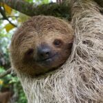 WhatsApp Image 2025-12-28 at 2.21.01 PM