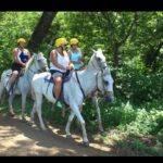 WhatsApp Image 2025-12-28 at 2.31.40 PM