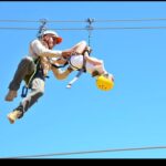 WhatsApp Image 2025-12-28 at 2.31.40 PM (2)