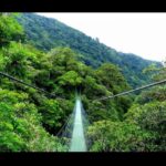 WhatsApp Image 2025-12-28 at 2.34.39 PM (1)